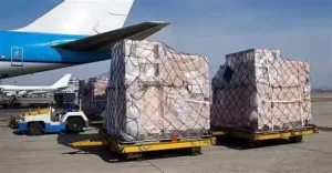Gửi Quà Tặng Và Đồ Dùng Gia Đình Sang Mỹ