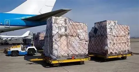 Gửi Quà Tặng Và Đồ Dùng Gia Đình Sang Mỹ