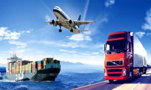 Gửi Hạt Điều Rang Muối, Hạt Dinh Dưỡng