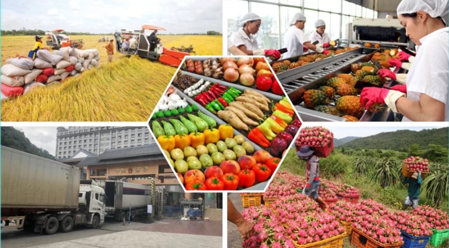 QUẢN TRỊ VẬN HÀNH CHUỖI SẢN XUẤT VÀ CUNG ỨNG NÔNG SẢN CHẾ BIẾN SẴN XUẤT KHẨU
